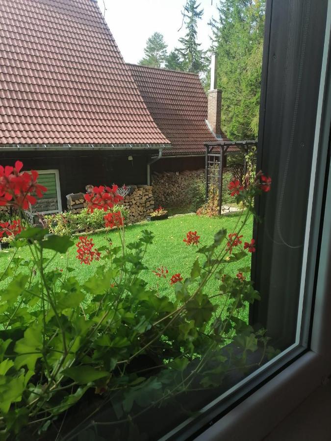 Willa Pod Lasem Szklarska Poreba Bagian luar foto