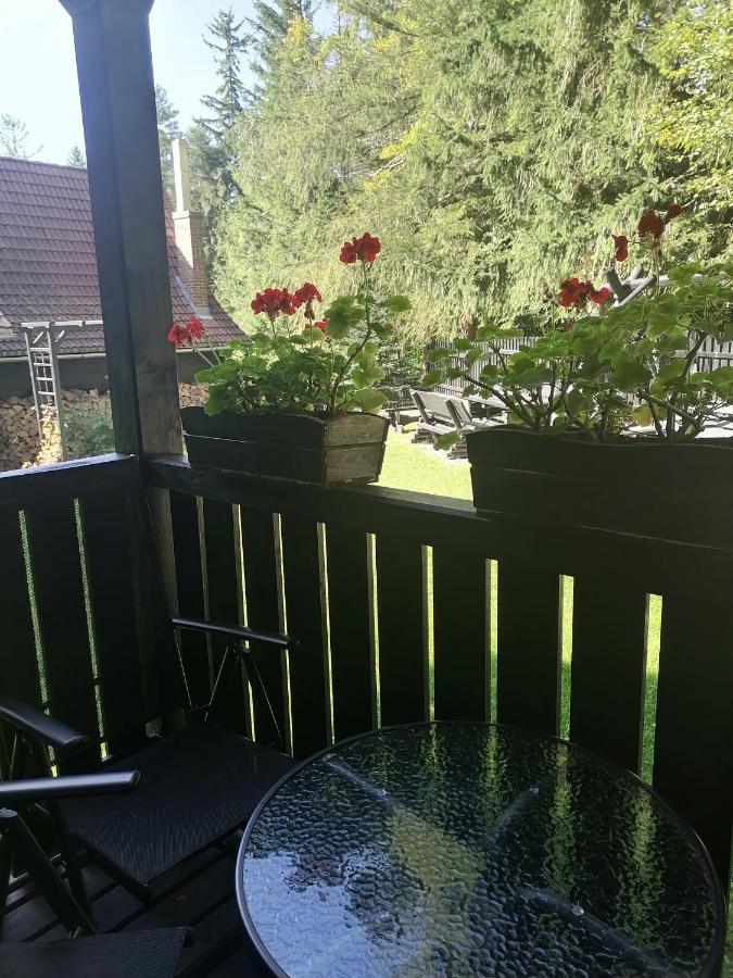 Willa Pod Lasem Szklarska Poreba Bagian luar foto