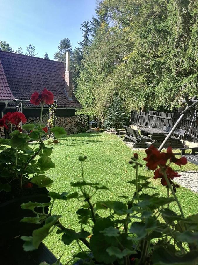 Willa Pod Lasem Szklarska Poreba Bagian luar foto